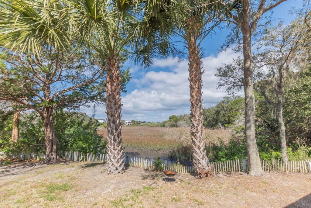 Marsh Front Birders Paradise Close To Beaches And Downtown St. Augustine Bagian luar foto